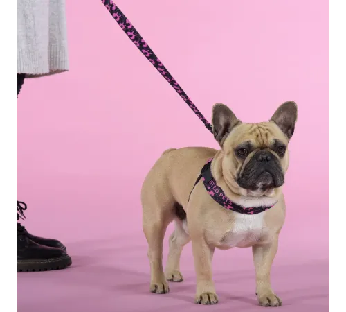 United Pets Шлейка Complete me Identity, черная с розовым, 1,5 x 34-42 см