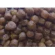 ZooRing Adult Mini Dog (Индейка, рис), 700 г