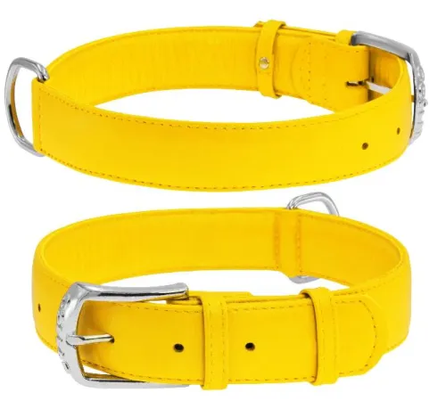 Collar Ошейник 