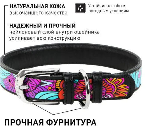 Collar Ошейник 