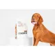 Nature's Protection GF Red Coat All Breed (Ягненок), 10 кг