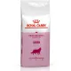 Royal Canin Queen 34 4 кг