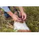 Trixie Намордник Muzzle Flex, S, 20 см
