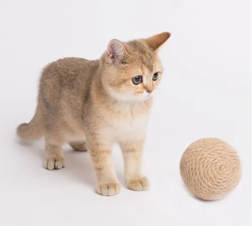 Petsiki Когтеточка динамическая клубок песочный большой, 120 мм