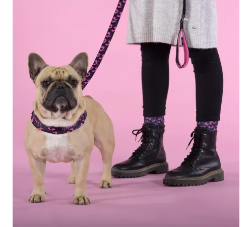United Pets Шлейка Complete me Identity, черная с розовым, 1,5 x 34-42 см