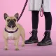 United Pets Шлейка Complete me Identity, черная с розовым, 1,5 x 34-42 см