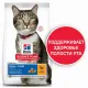 Hill's Science Plan Oral Care для кошек (курица), 1,5 кг