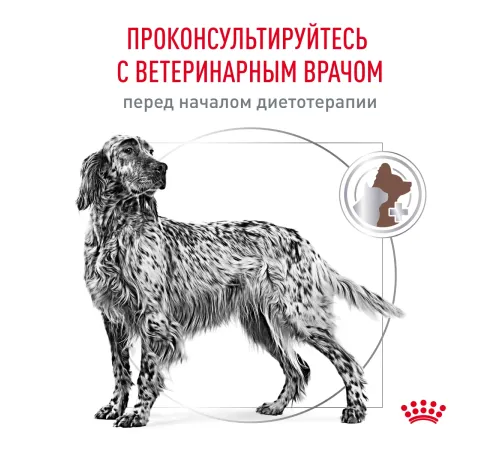 Royal Canin Gastrointestinal Dog, 2 кг