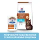 Hill's Prescription Diet k/d Early Stage для кошек, 3 кг