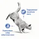 Royal Canin Light Weight Care (соус), 85 гр