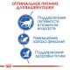 Royal Canin Indoor 7+, 400 г