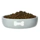 Red Bow Миска оливковая с рисунком Косточка, 0,23 л