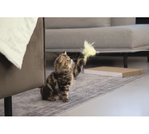 Beeztees Дразнилка Orry с перьями 45 см