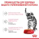 Royal Canin Kitten Sterilised (желе), 85 г х 12 шт