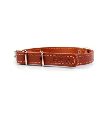 Collar одинарный составной Brown 12 мм, 24-32 см