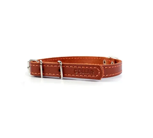 Collar одинарный составной Brown 12 мм, 24-32 см