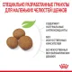 Royal Canin Maxi Starter, 4 кг