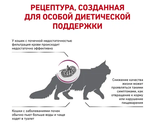 Royal Canin Renal Special Cat, 400 г