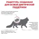 Royal Canin Renal Special Cat, 400 г