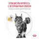 Royal Canin Urinary S/O Moderate Calorie Feline, 350 г