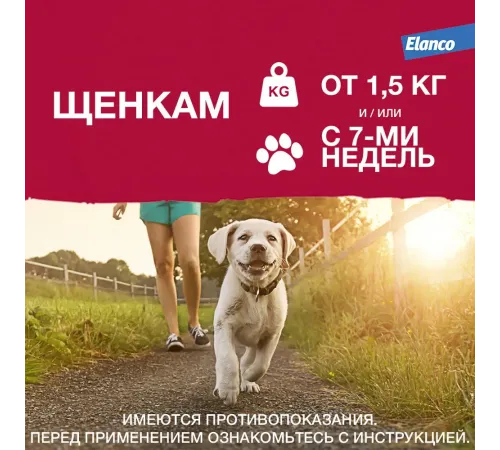 Elanco Адвантикс для собак до 4 кг, 1 пипетка