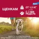 Elanco Адвантикс для собак до 4 кг, 1 пипетка