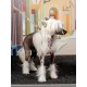 Ошейник в стиле Мексика для собак, красный, SS