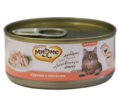 Мнямс Консервы Курица с лососем в нежном желе, 70 г