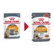 Royal Canin Hair & Skin (соус), 85 гр