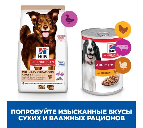 Hill's Science Plan Culinary Creations для собак средних пород (утка и картофель), 2,5 кг