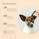ProPhyto Раствор для ушей Ear Protect, 100 мл