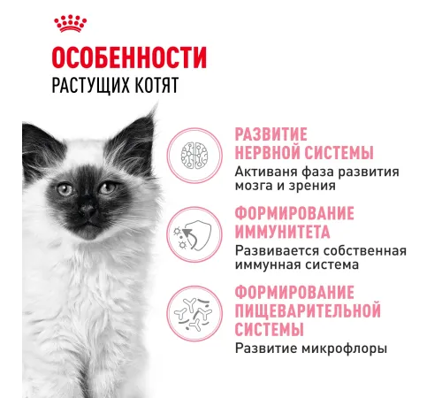 Royal Canin Kitten, 300 г