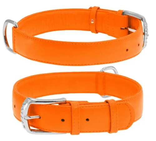Collar Ошейник 