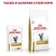 Royal Canin Urinary S/O Feline (паштет), 85 г