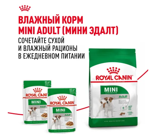 Royal Canin Mini Adult, 800 г
