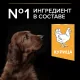 Pro Plan Puppy Large Athletic (Курица) 12 кг
