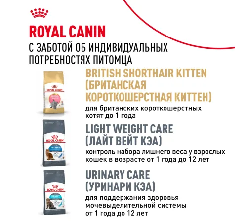 Royal Canin British Shorthair Adult, 400 г