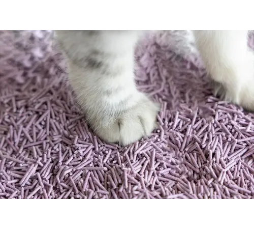 UniQ Pets Tofu Lavander, 6 л (2,5 кг)