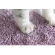UniQ Pets Tofu Lavander, 6 л (2,5 кг)