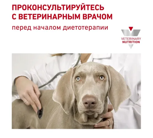 Royal Canin Skintopic Dog, 2 кг + EDUC в подарок