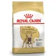 Royal Canin French Bulldog Adult, 3 кг