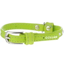 Collar Ошейник 