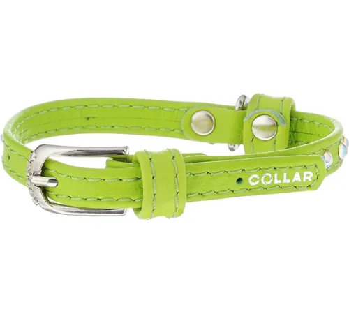 Collar Ошейник 