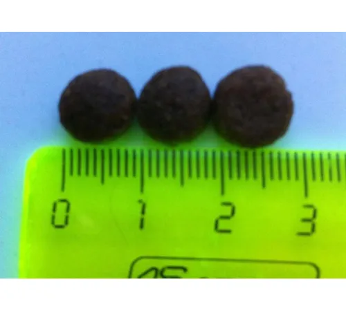 ZooRing Adult Mini Dog (Индейка, рис), 700 г