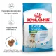 Royal Canin Mini Starter, 1 кг
