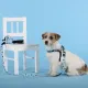 United Pets Поводок Complete me Writing, голубой с рисунком, 16 мм, 140 см