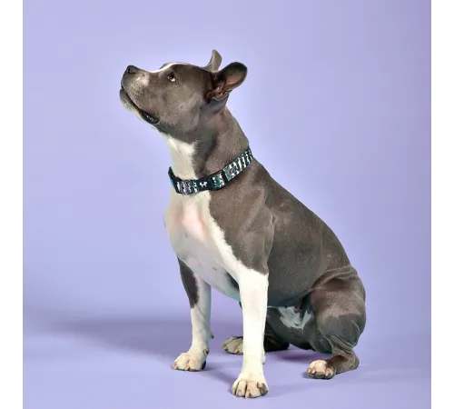 United Pets Ошейник Complete me, розовый камуфляж, M