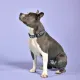 United Pets Ошейник Complete me, розовый камуфляж, M