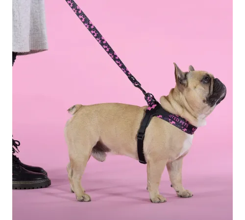United Pets Шлейка Complete me Identity, черная с розовым, 1,5 x 34-42 см
