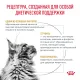 Royal Canin Urinary S/O Moderate Calorie Feline, 350 г